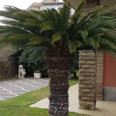 Myricae Affittacamere