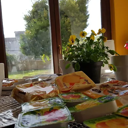بيت ضيافة Myricae No Late Arrival فيوميتشينو