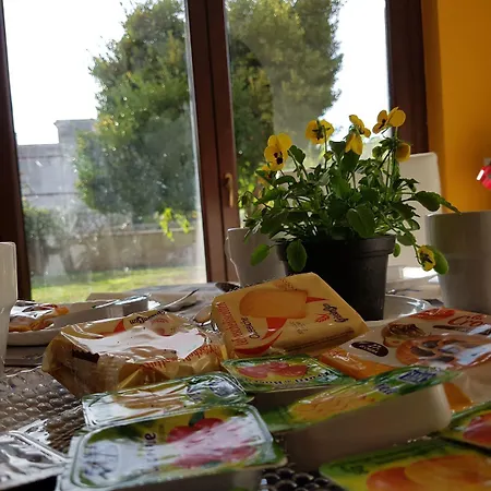 Myricae No Late Arrival فيوميتشينو