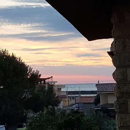 Myricae No Late Arrival