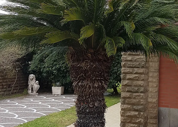 Myricae No Late Arrival Гостевой дом