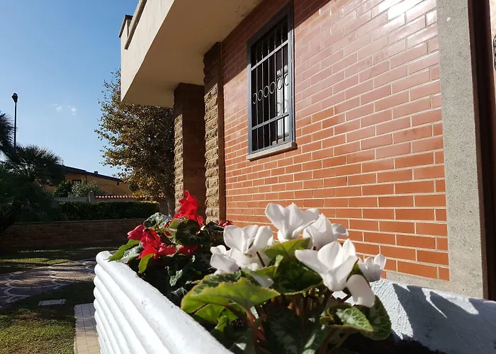 Гостевой дом Myricae No Late Arrival 3*