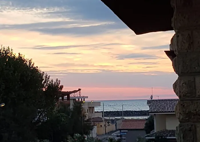 Myricae No Late Arrival