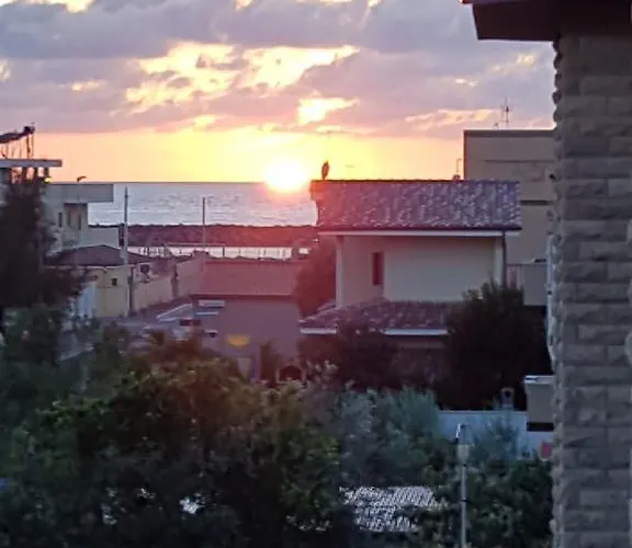 Myricae No Late Arrival