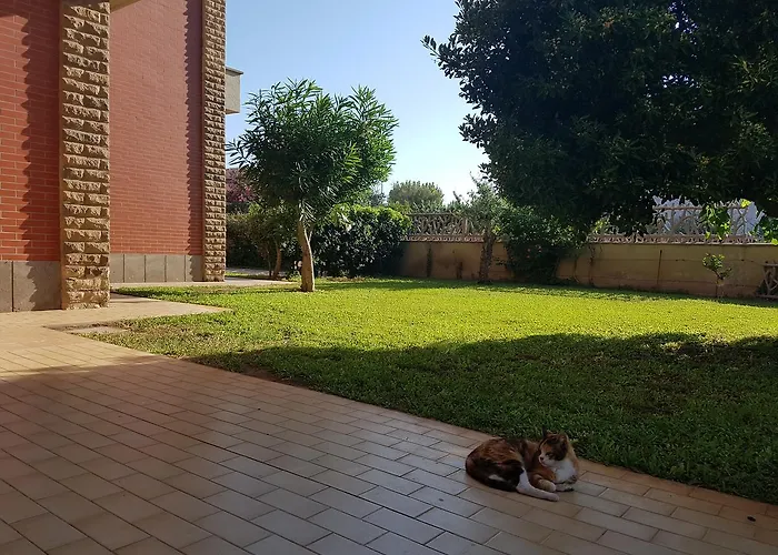 Гостевой дом Myricae No Late Arrival 3*